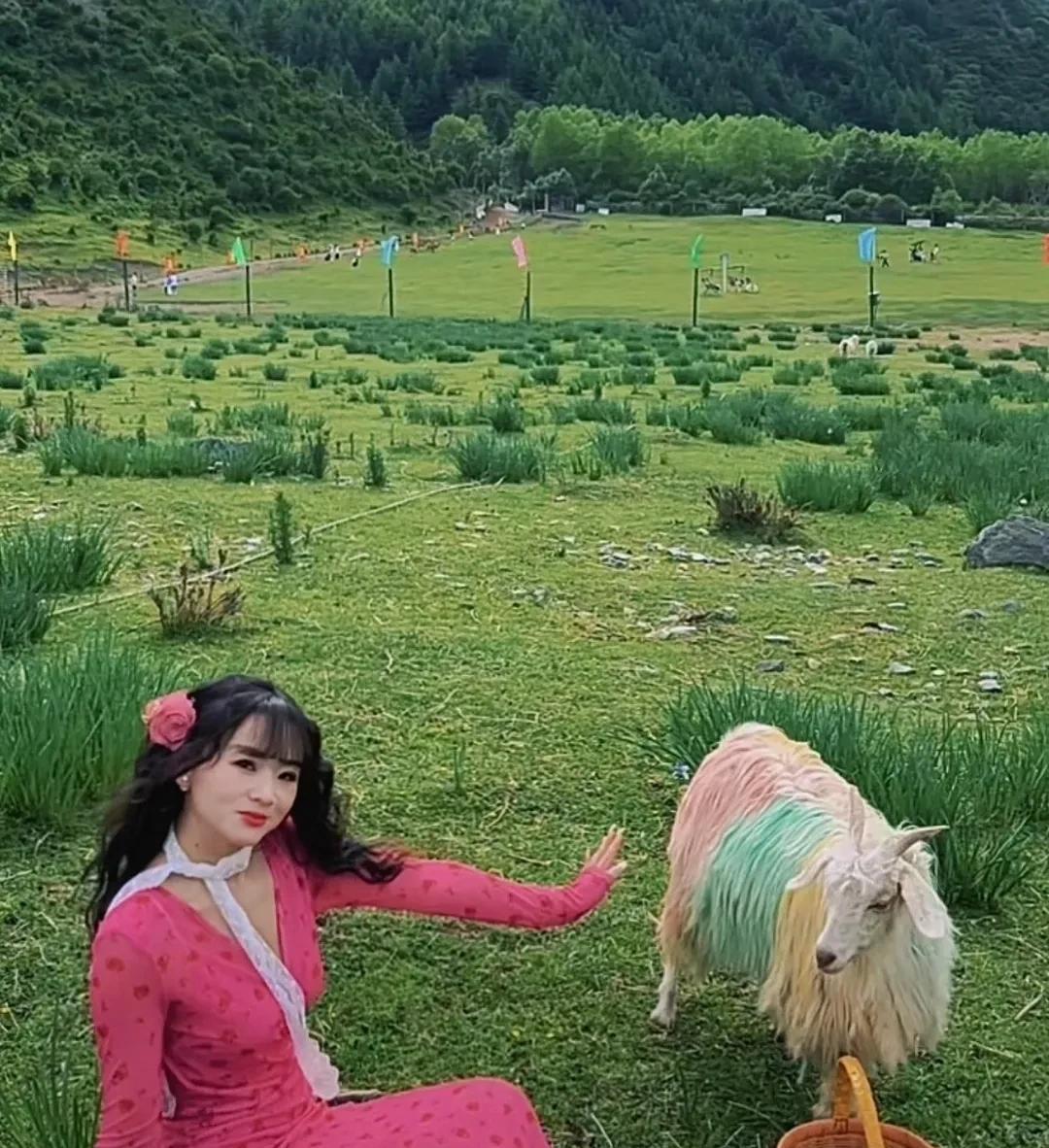 #分享能让你有幸福感的小事#发现养的植物冒出新芽，以及在生活中的实践中，验证了