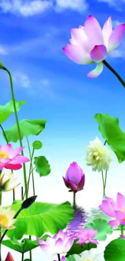 二舅的一生。二舅走了，是上吊走的，二舅一辈子没有成家，左手有点小儿麻癖，只知道