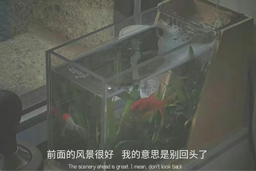 金牛座是固执的人，只要是他们决定了的事情，那么没有谁能够轻易改变他们，就算你有道
