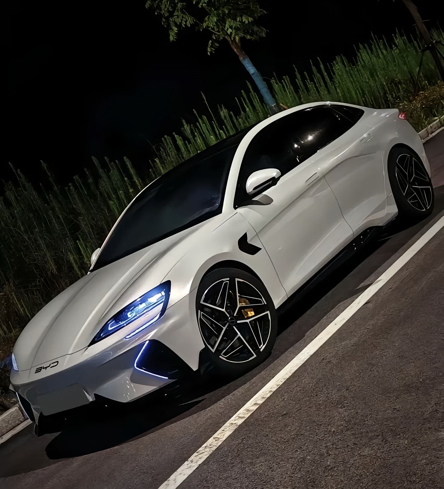 论颜值，海豹EV绝对是比亚迪海洋系列的颜值天花板，溜背线条、低趴姿态、无框车门，