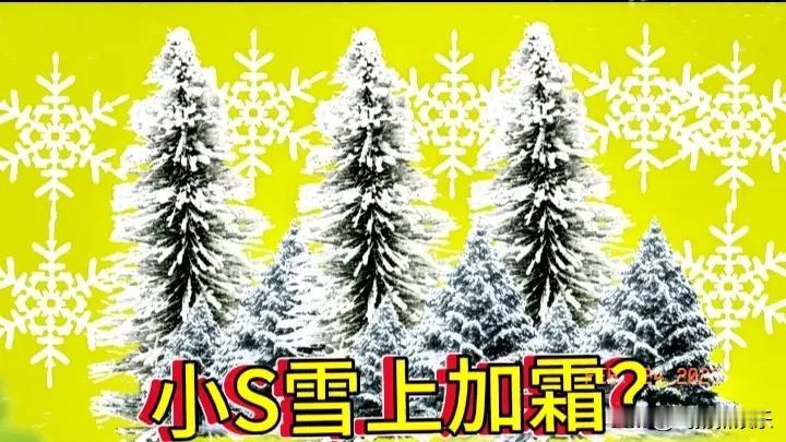 小S雪上加霜？人算不如天算，小S做梦也没想到，原本春风得意的