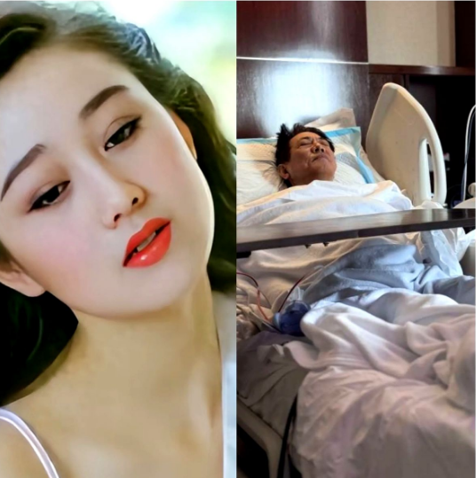 利智一转身就是一辈子。她签下那张生死状，不是为了博眼球，是为了告诉李连杰：你走得