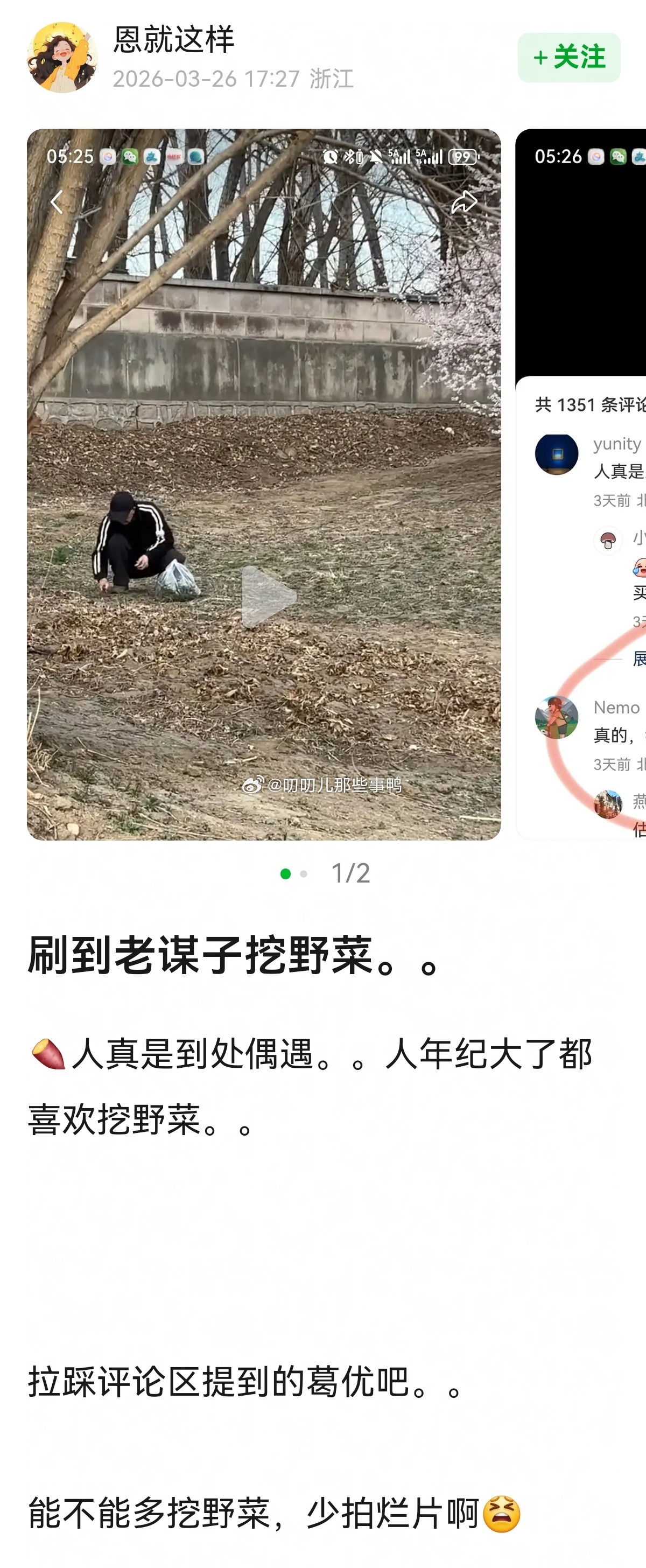 刷到老谋子挖野菜～😂😂
