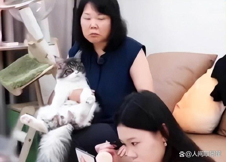 #观察室嘉宾无语到集体禁言#“在你这里我什么都没得到”，张家齐透露和妈妈不亲的原因：只希望自己出成绩