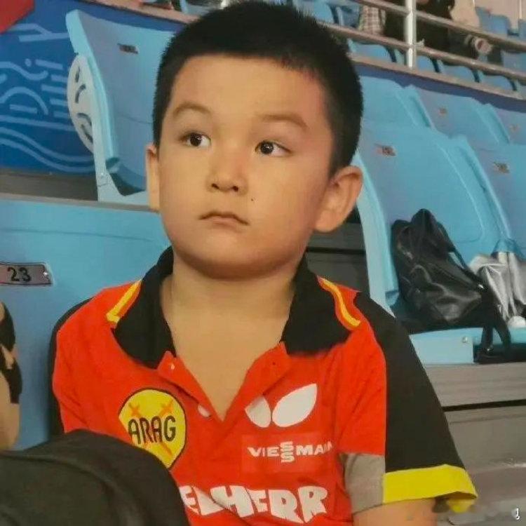 樊振东的每一道弧线都是热爱的勋章从青涩少年到乒乓传奇，樊振东的每一步都镌刻着拼