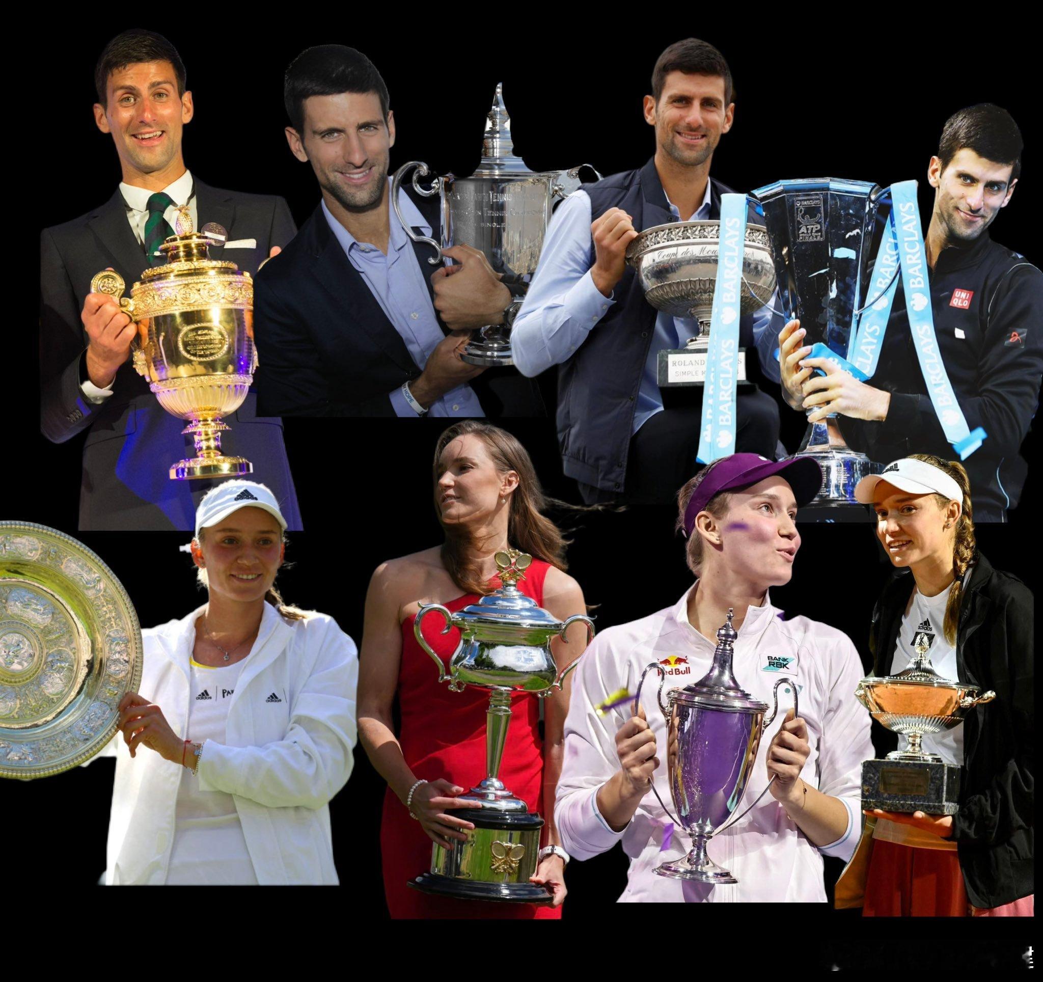 在所有场地（草地、红土、室外硬地和室内硬地）赢得大赛冠军的现役球员：1、德约科维