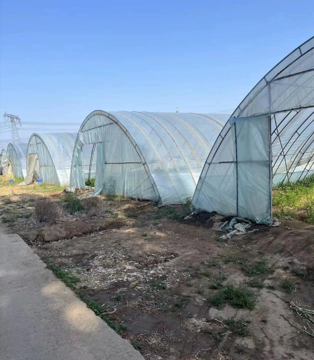 原来人死了，不出3天就真的什么都没了昨天老妈打电话说邻居王大爷去世了，就是那个