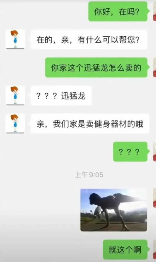 以为店家藏着狠货，兴冲冲找客服问：你家这迅猛龙怎么卖？客服当场打出三个问号：