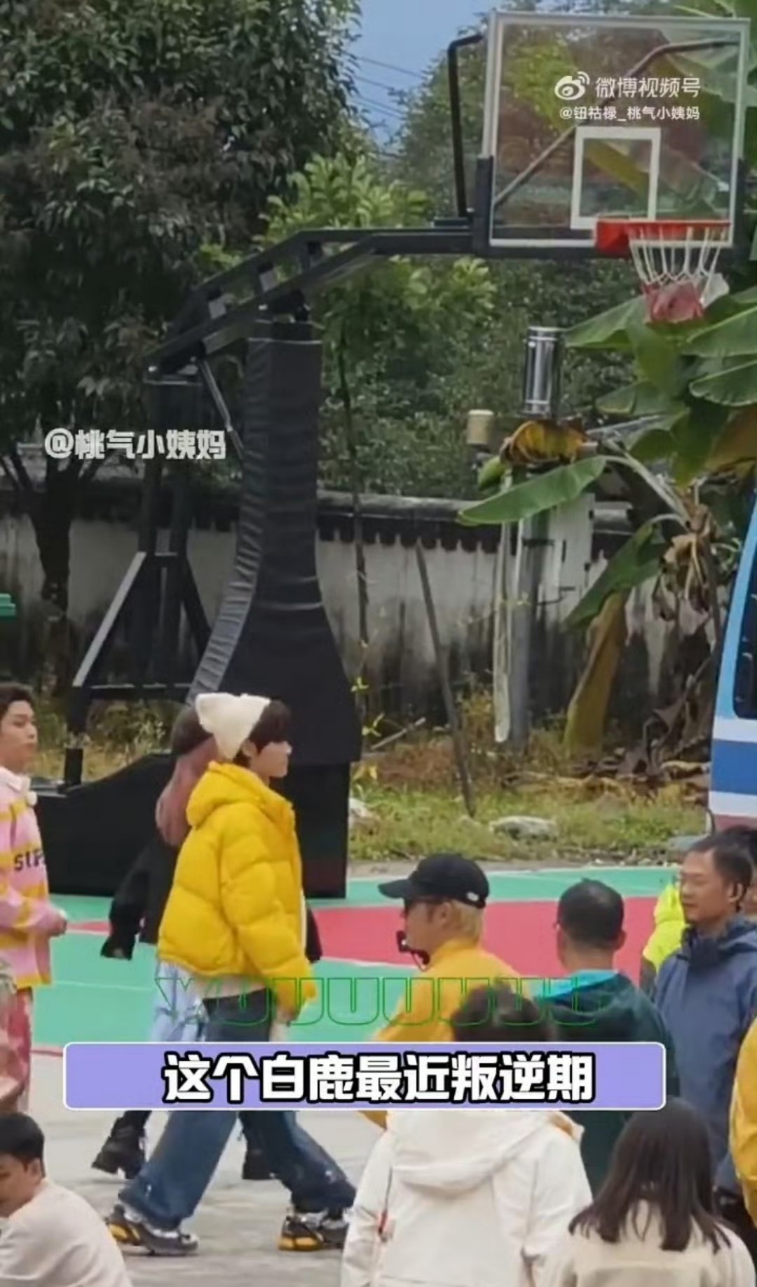 白鹿叛逆期到了张真源你忍一下这样互动的氛围真的蛮感染人的白鹿的调皮和真源的稳