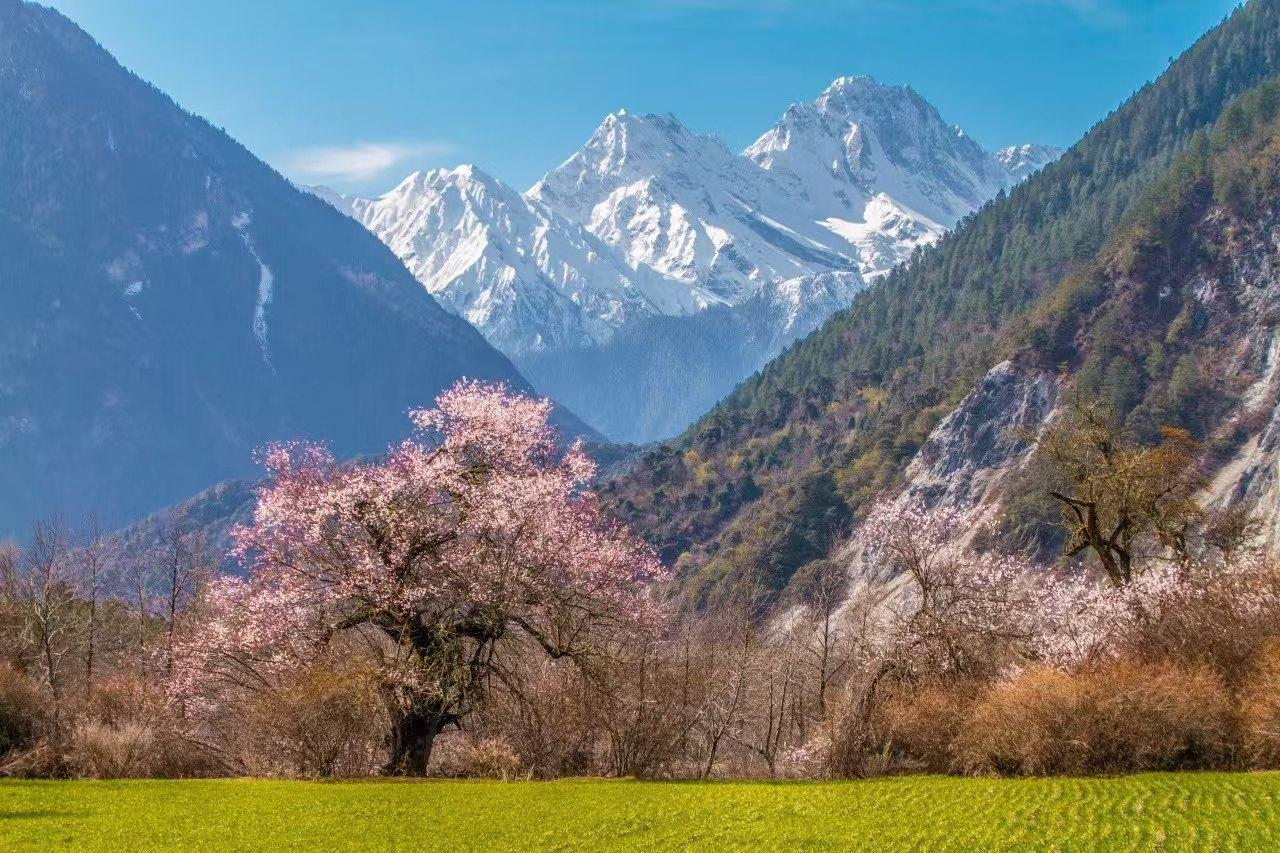 去年的时候，我就在说12306的购票肯定是有问题的。为什么有问题呢？一个基本