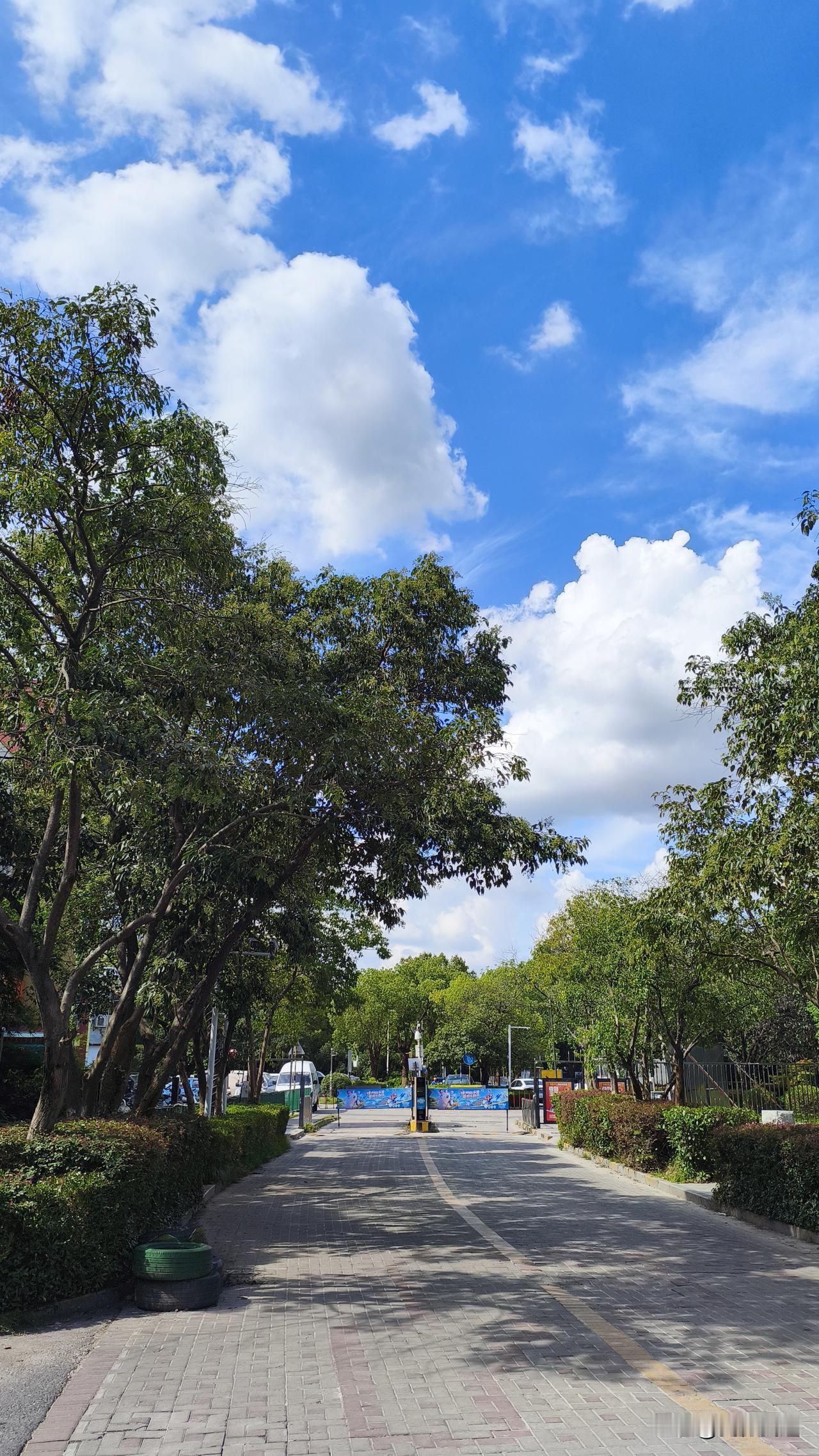 南京这天气真是绝了！今天预报温度才32度，可这体感温度，我敢打包票绝对超35度。