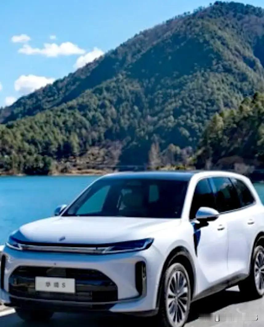 专家预判，未来只剩这几家车企：1、比亚迪是99%，2、奇瑞是98%，3、吉