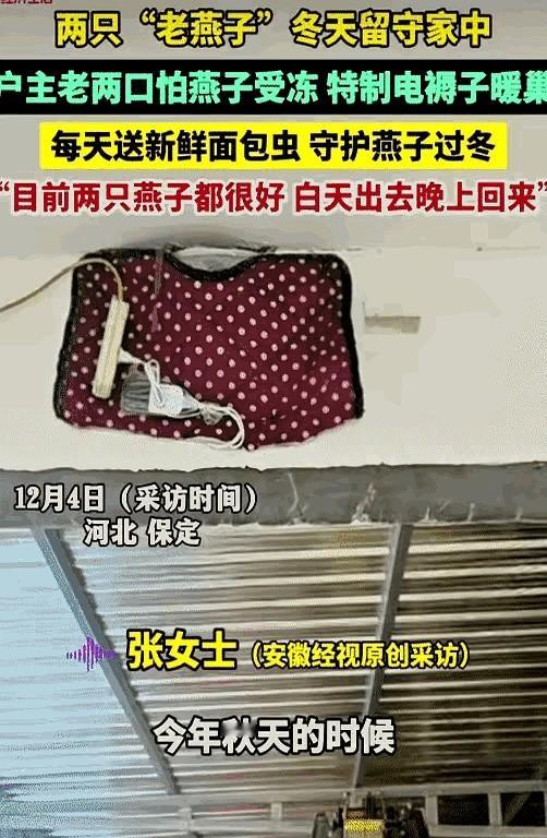 河北保定一对老夫妻最近成了微博热搜，据先别急着煽情，简单算笔账，一...