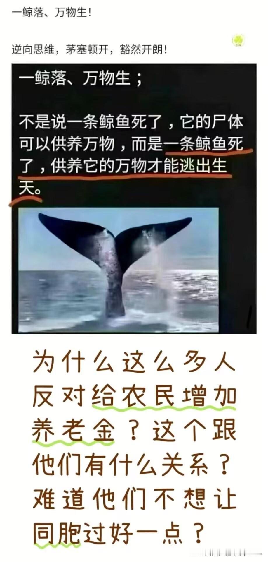 新思维，新理解。不过说的也挺在理的。
