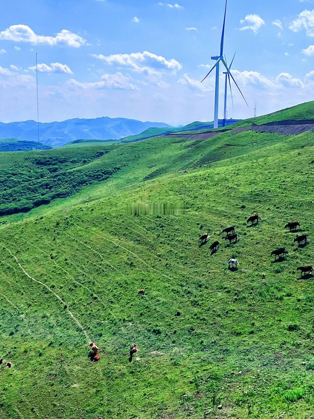 天水多个景区临时关闭受近期天气影响，为确保游客安全，天水多个景区及文旅部门陆续发