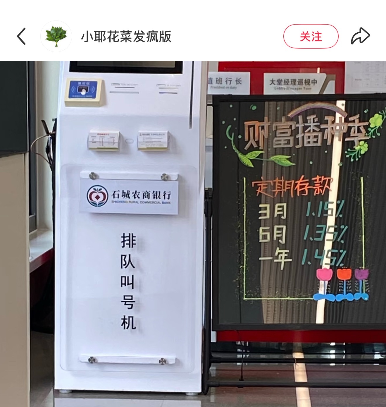 今天又能看见银行小九了排队取号等余九琪上班中