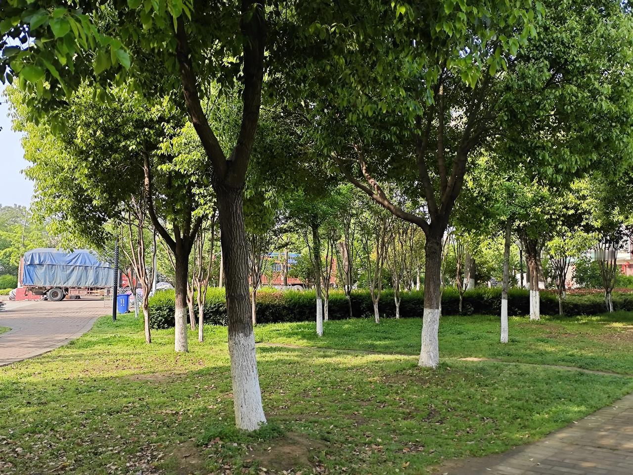 为了评上职称，许多教师不得不花费大量的时间和精力去撰写论文、申报课题。但由于时间