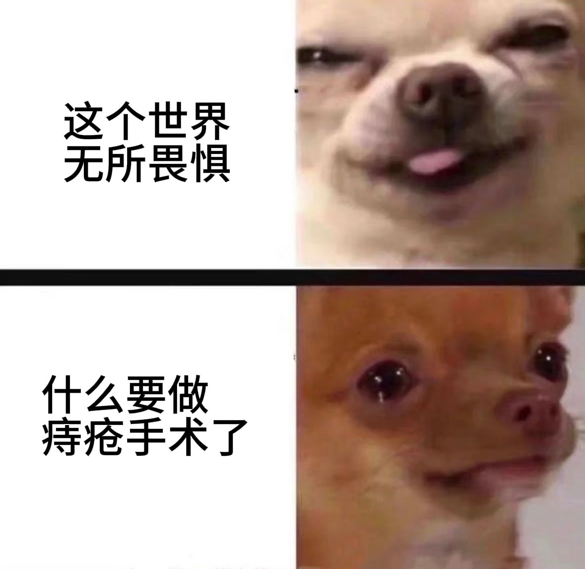 AI评割痔疮冲进临床最痛苦手术“割痔疮剧痛”确实是真的！原因有几个：1️⃣神经