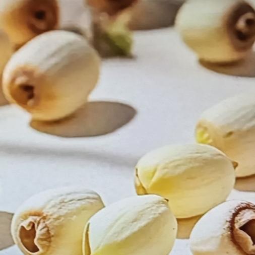 总以为牛奶是助眠王者，其实有个“安眠猛将”被忽略了，它就是桂圆。桂圆可是个好东西