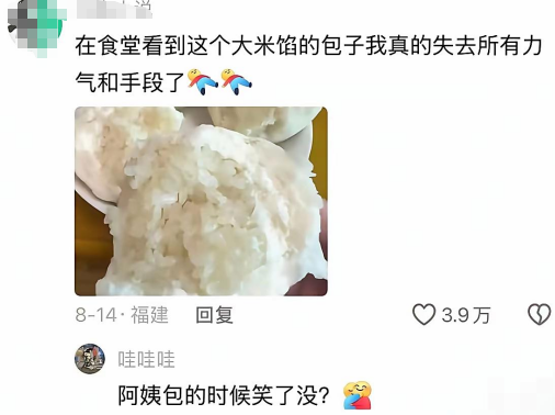 阿姨包的时候笑了没?