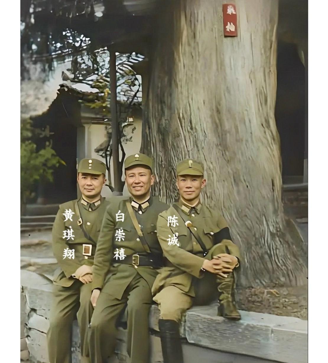 这才是1943年黄琪翔与白崇禧和陈诚在云南黑龙潭的真实貌相，并非演戏，也并非电视