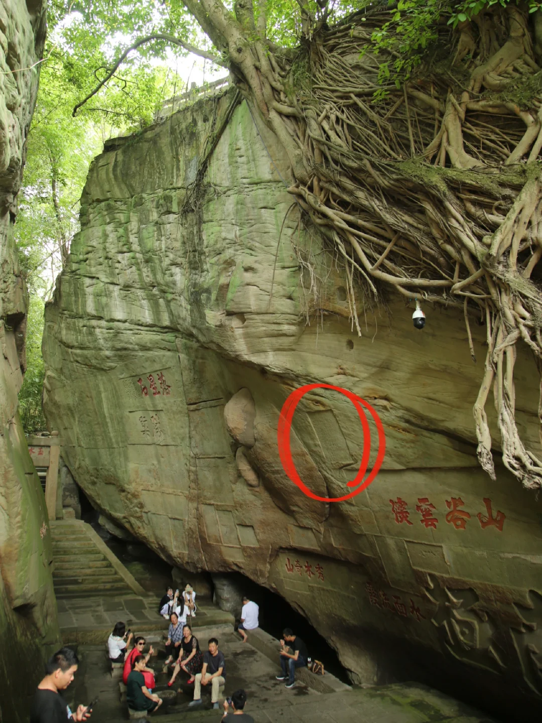 宜宾伪造元代酒史文献