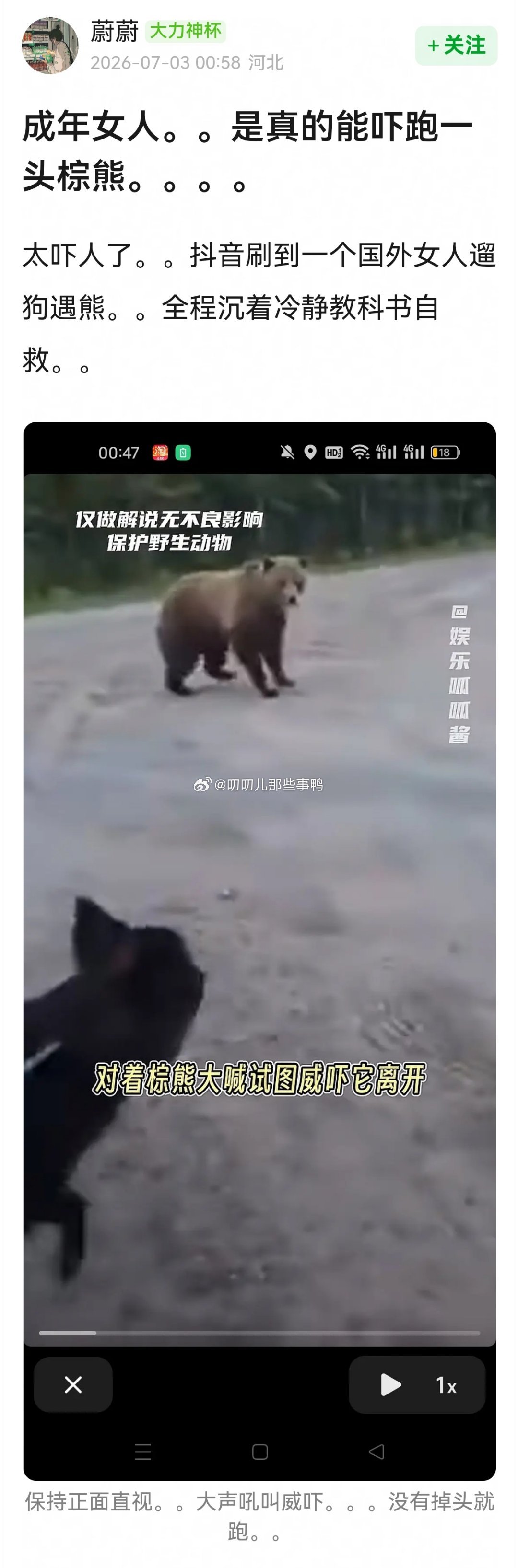 成年女人是真的能吓跑一头棕熊！！