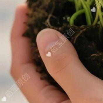 一个转身，可以是一个结束；一个转身，也可以是一个新的开始。世界早安