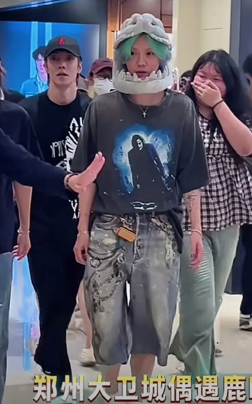 鹿晗来郑州了，鹿晗来大卫城了。然而他的形象，只会让我觉得恐怖，恶心。看近段他的