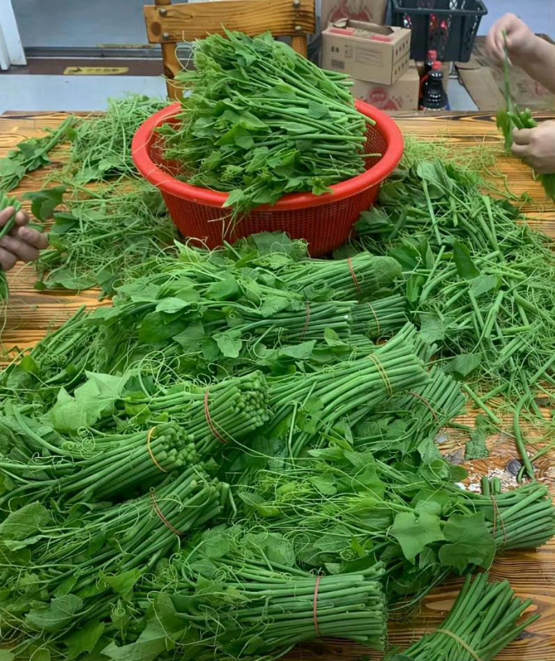 我严重怀疑这个菜出了两广都没人认识。​​​​