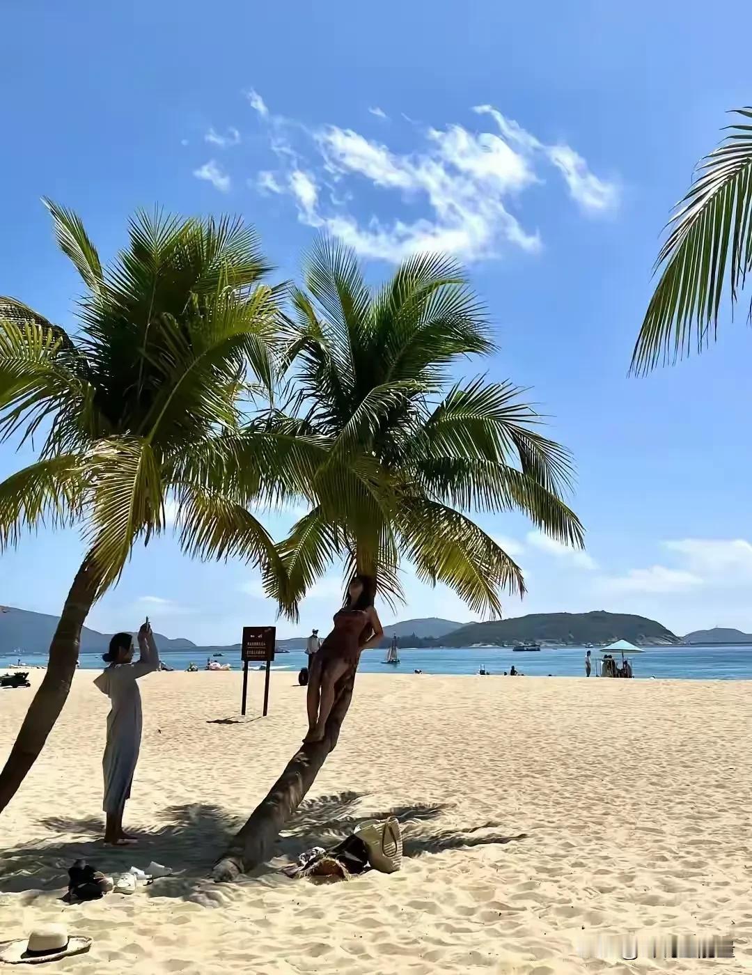 一段令人深思的话：“世界上最坏的就是人，老鼠再不好，就是偷个东西吃，猫再不好，最