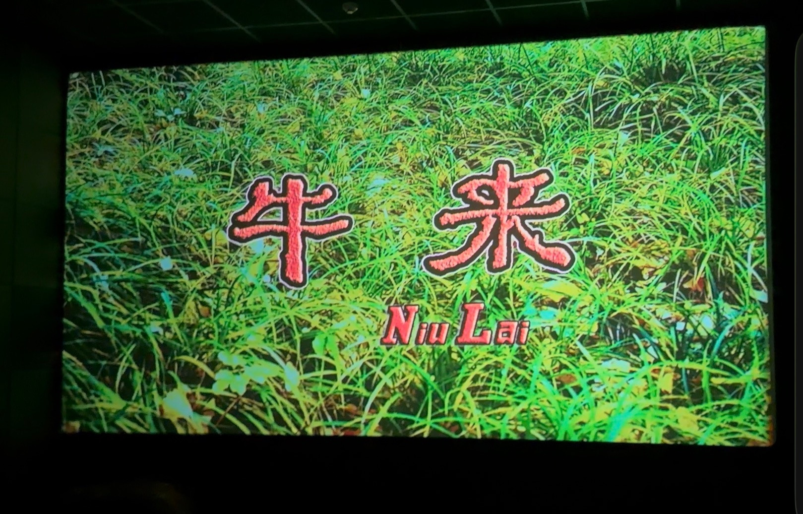牛来电影牛来火到a股A股牛来至少行情涨了点被人拉着强迫看的，感觉全场都是