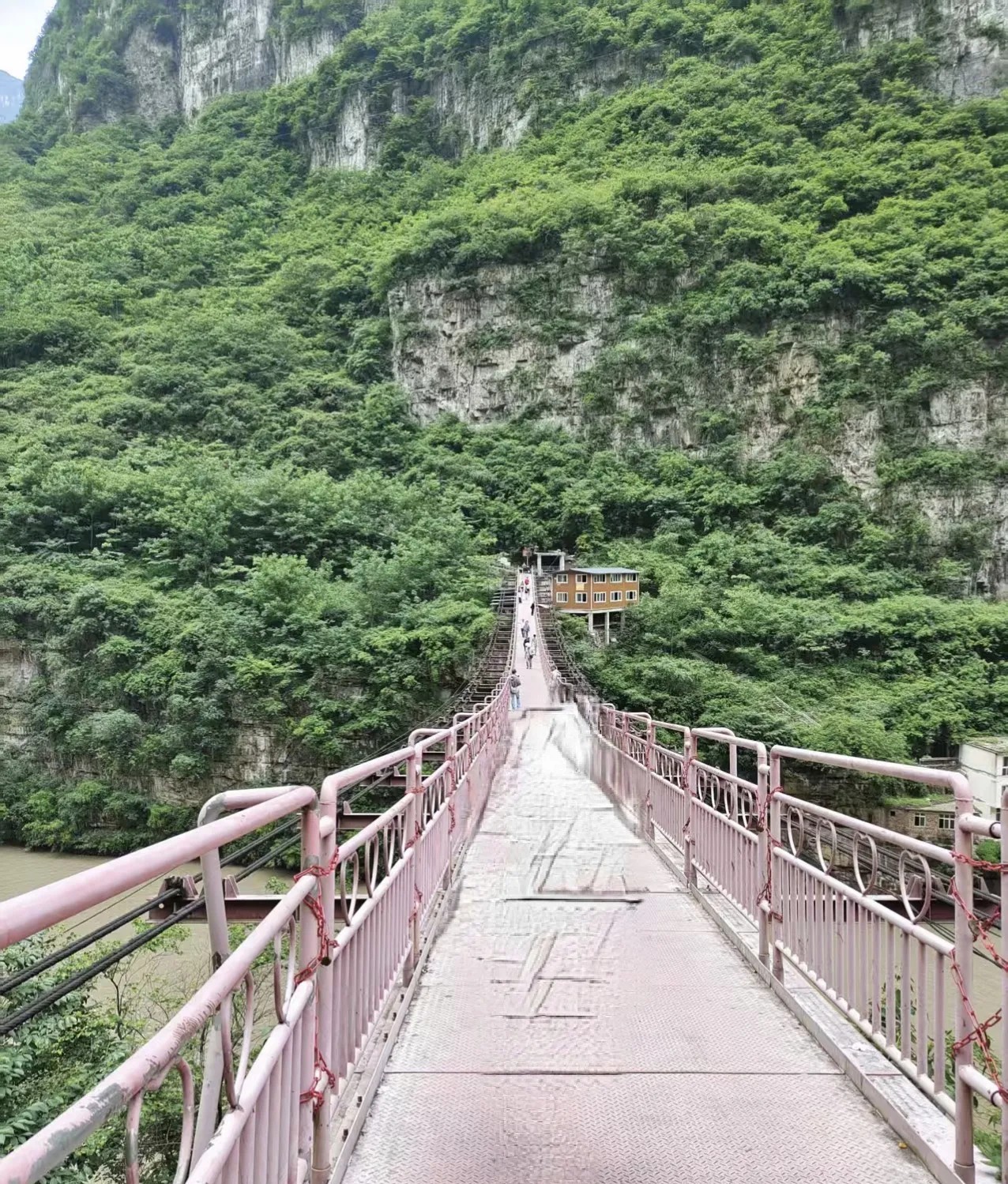 我和闺蜜都是丧夫的女人，她丈夫走了两年半，我丈夫走了一年，我俩原本说好这辈子都不