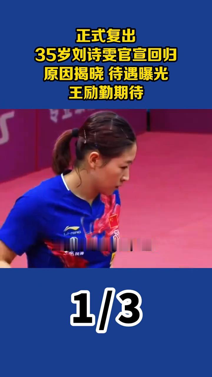 正式复出，三十五岁刘诗文官宣回归，原因揭晓，待遇曝光，王李琴期待。令人没想到，隐