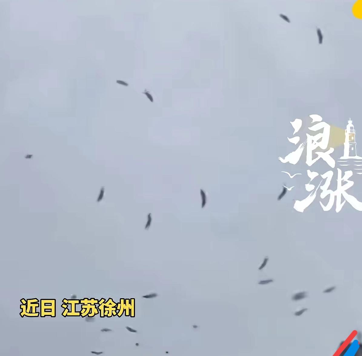 科学都解释不清了！江苏徐州，一102岁老人，一生无病无灾，寿终正寝，万万没想到，