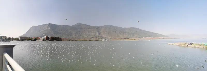 去云南旅游，跟团和自由行各有利弊。跟团的话，省心省力。旅行社会安排好行程、住宿和