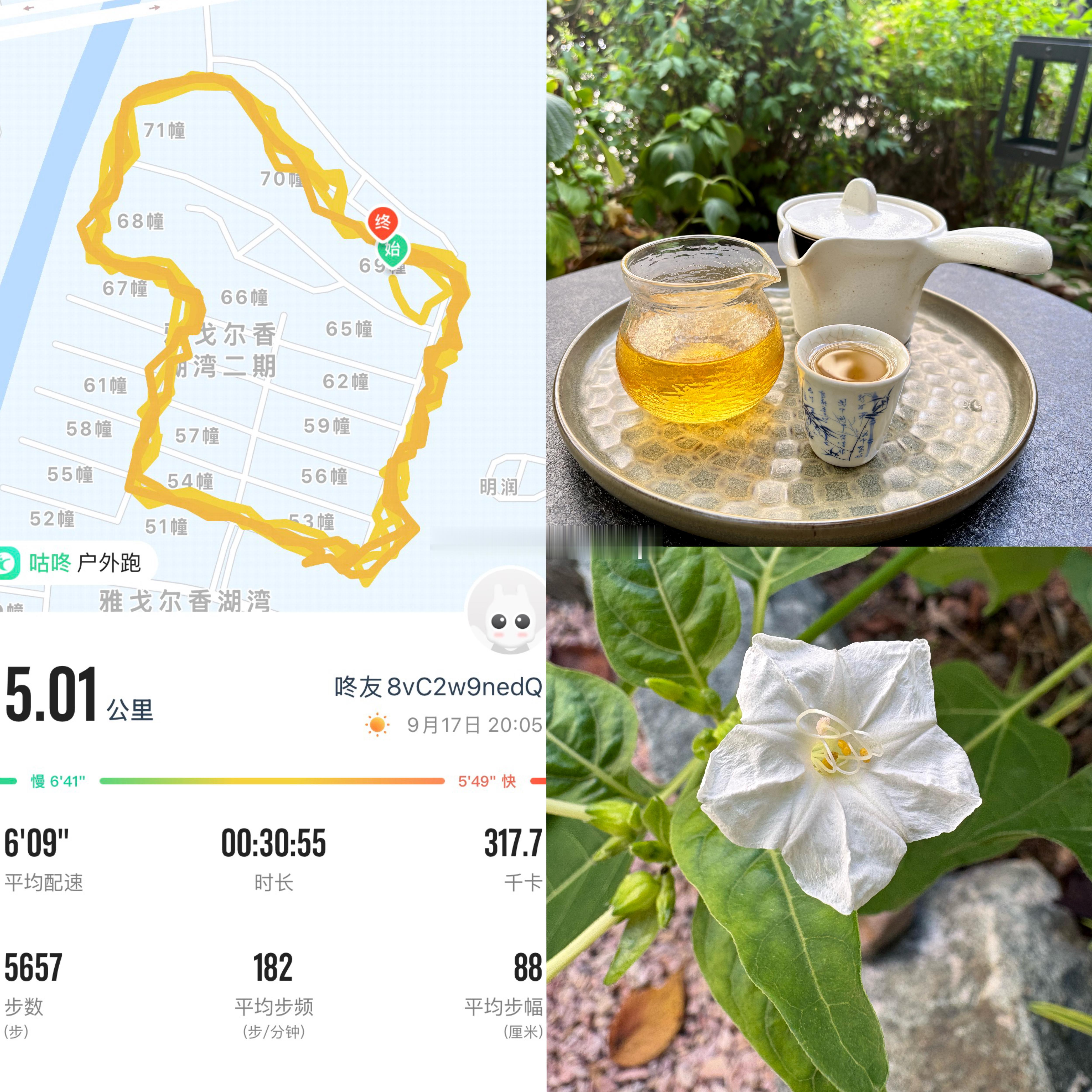 5️⃣公里跑步完成。✅​​​