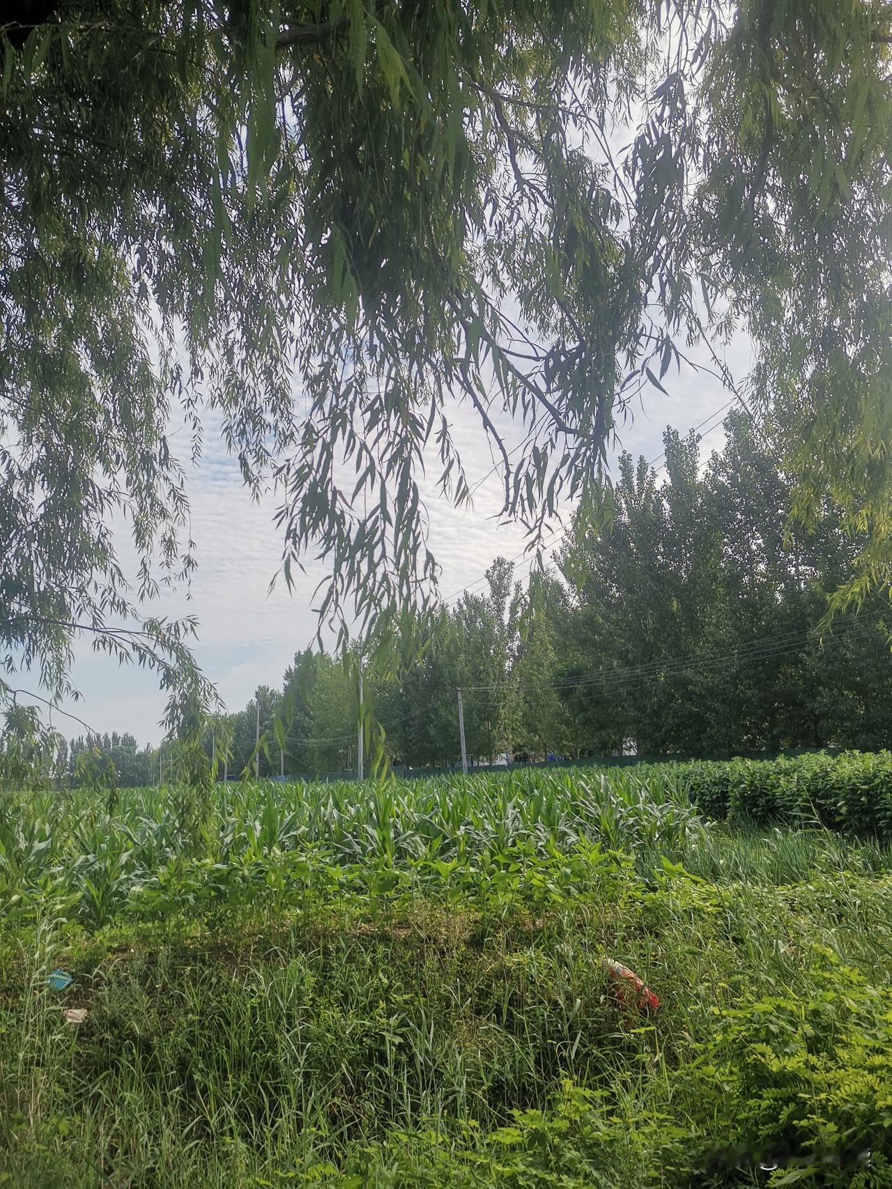 我和老公都是二婚，大女儿是我带来的，去小区广场上玩，把水杯丢了，而且丢了三个水杯