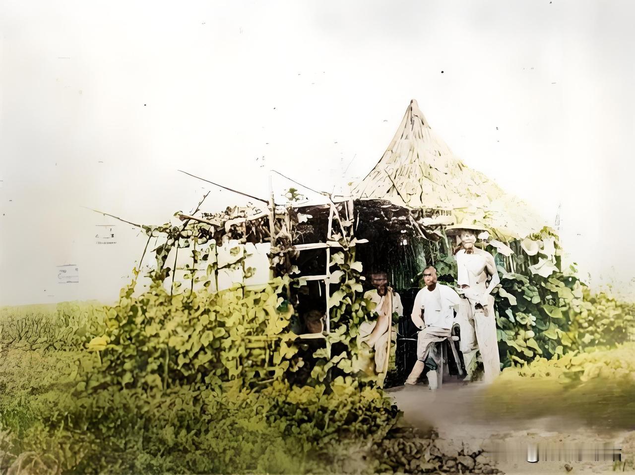 1890年，山东武城的看瓜窝棚以黄河沙土混合麦秸夯筑，呈「人」字形，棚顶覆茅草，