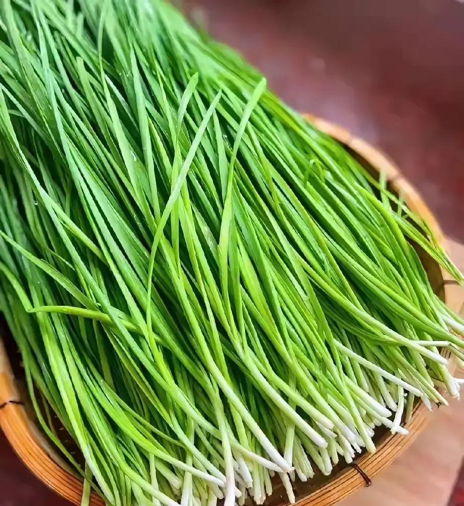 刷到个视频说韭菜从8块飙到22块一斤，吓得我赶紧去楼下菜市场转了一圈。摊主大