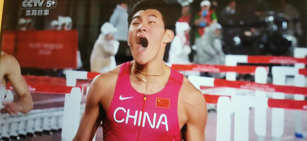 前仆后继，陈园将致敬刘翔亚运会男子110米栏决赛，在刘俊茜摔倒的情况下，陈园将