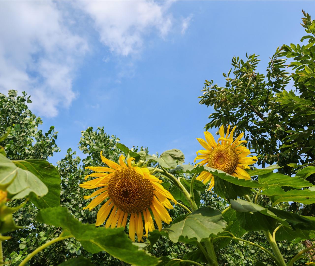 刚刷到一个视频博主说她每月工资2700元，老公工资3000多，两个人一个月挣60