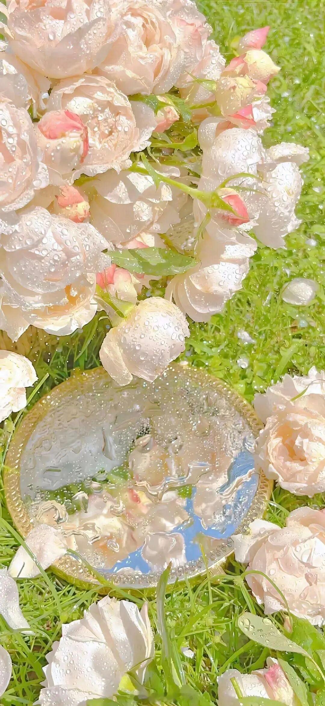 暗恋是风，喜欢是海啸，而爱是海，藏不住的。——应橙《告白》早安推文