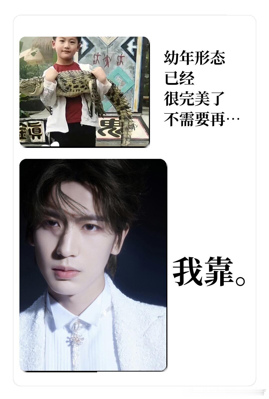 我靠！夏天我下班回家就张凌赫这样张凌赫幼年形态已经很完美了
