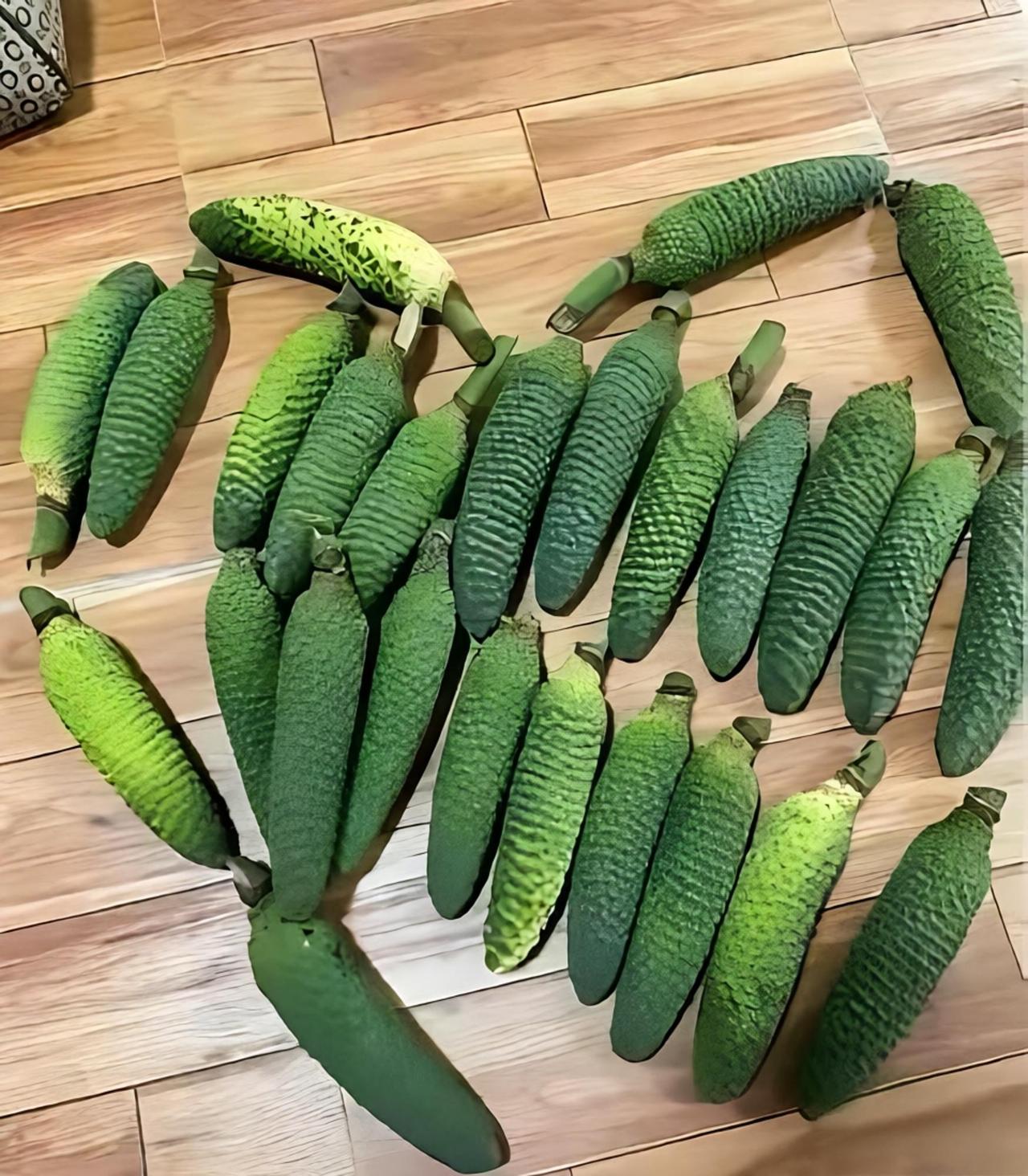 朋友给邮的不知道是什么