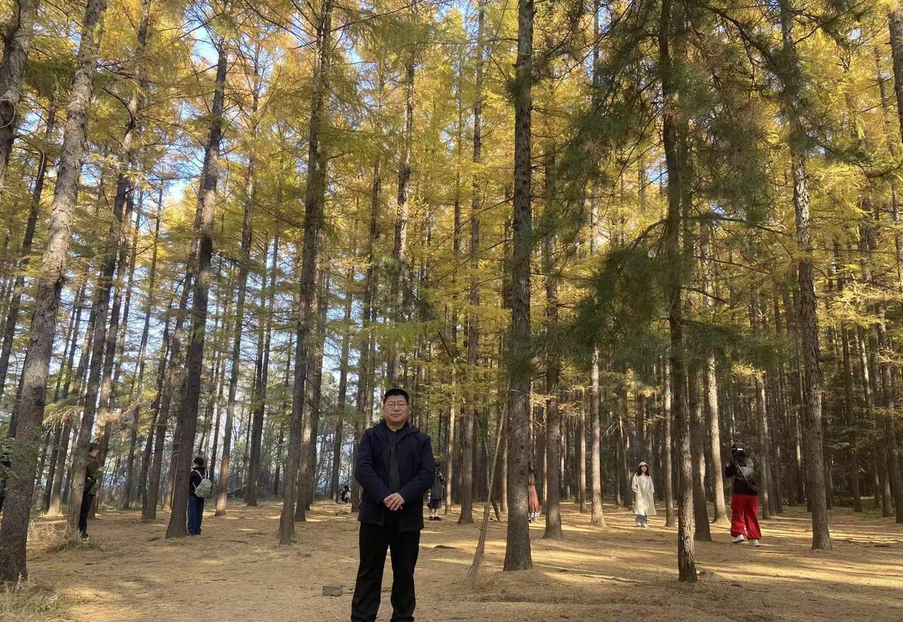 前两天我给同事买了一百个农村土鸡蛋，当然是她求我帮助买的。每个鸡蛋是一元八。她给