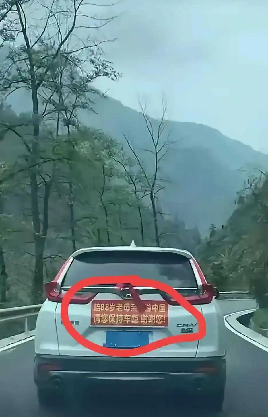 这绝对是有史以来最孝顺的儿子了吧？