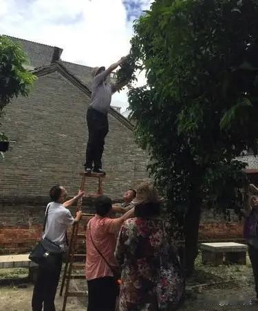 “冲动是魔鬼！”广东梅州，7旬大爷骑车回家，在家门口自家修建的小路上，刮碰到一大