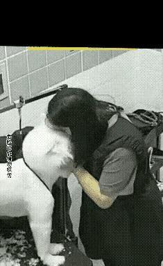 女子抱着刚洗完澡的狗亲了一口，狗反嘴就把她嘴唇咬穿，缝合了七层，这不是故事，是刚