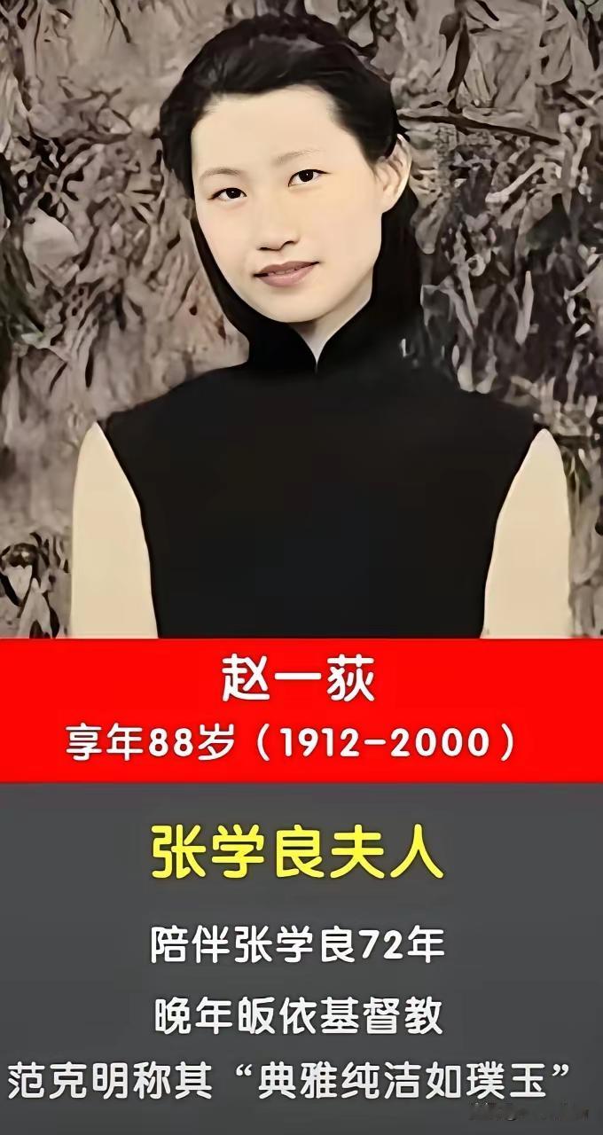 王铎：素颜的赵四小姐